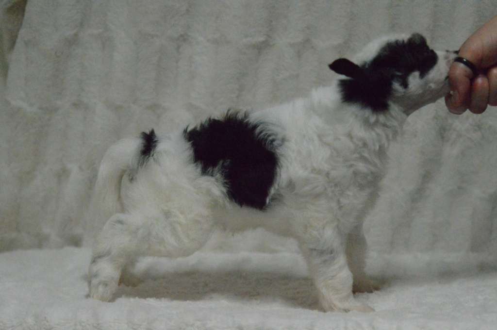 Kaitlin Beyond The Bean Mr Bean