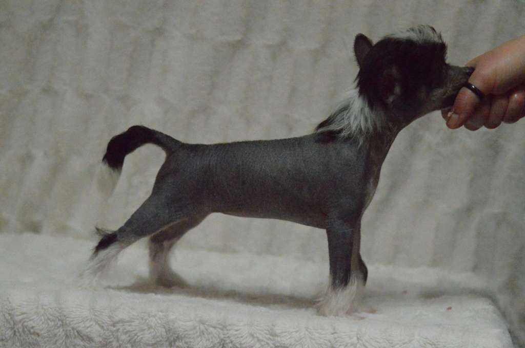 Kaitlin Beyond Movie Star