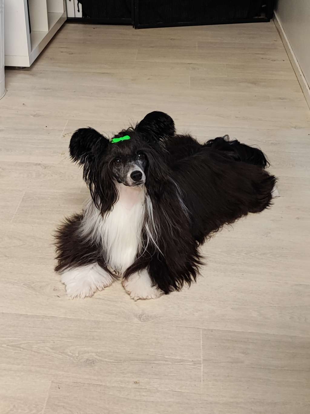 Naked Stars More Than Just A Beast