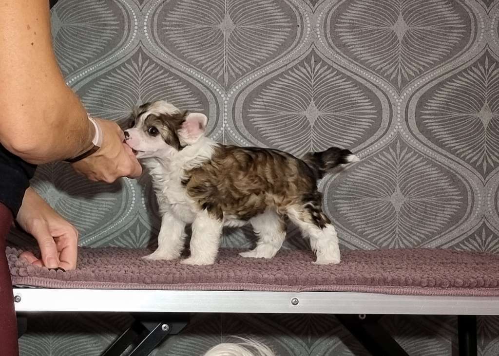 Naked Stars Beauty Doesn't Rinse Off