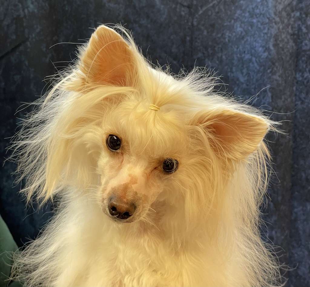 Eliah The Bushwalker