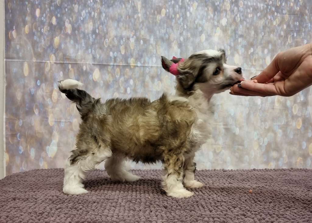 Naked Stars My Cute Pill Kicked In