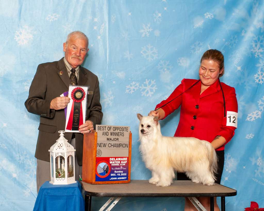 Hpnotik n Kellyn's Smoke Show