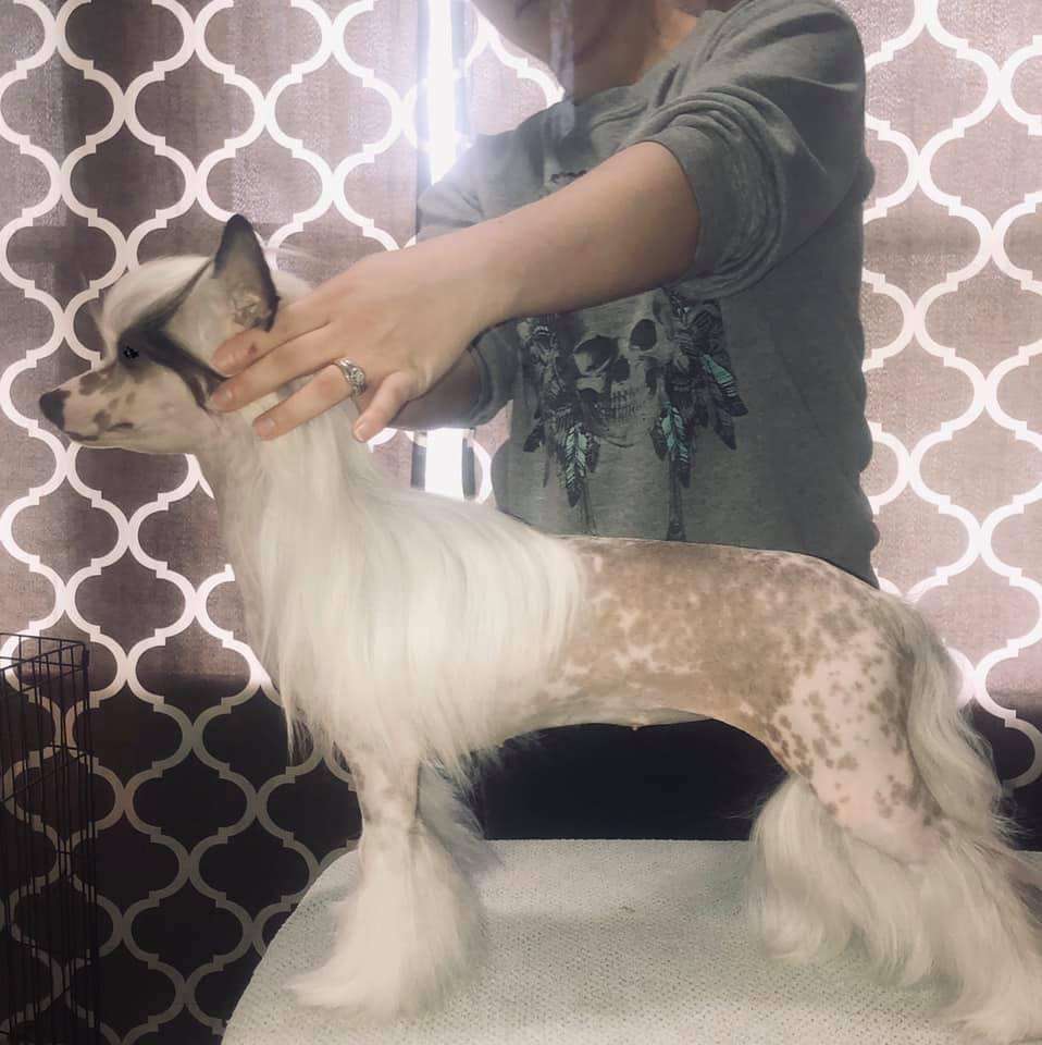 Sondras nobody puts baby in the corner at ciao bel