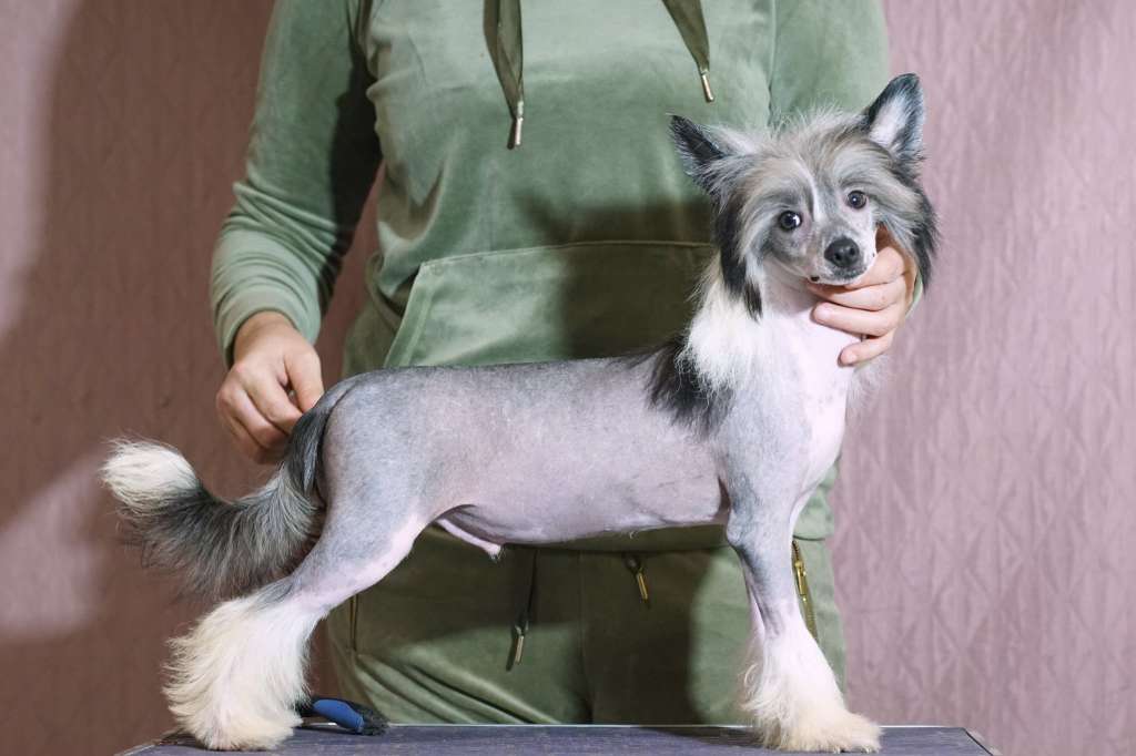 Tables Are Turned Heybett