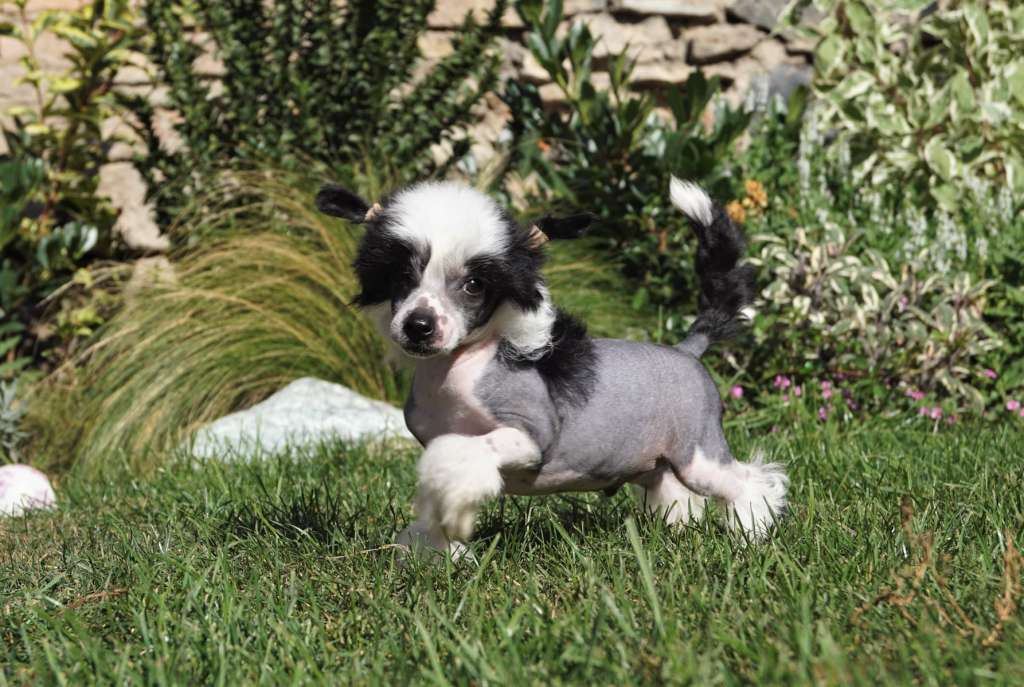 Taking Chances Heybett