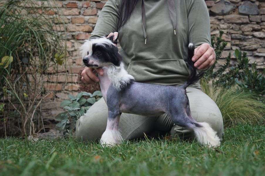 Take My Breath Away Heybett