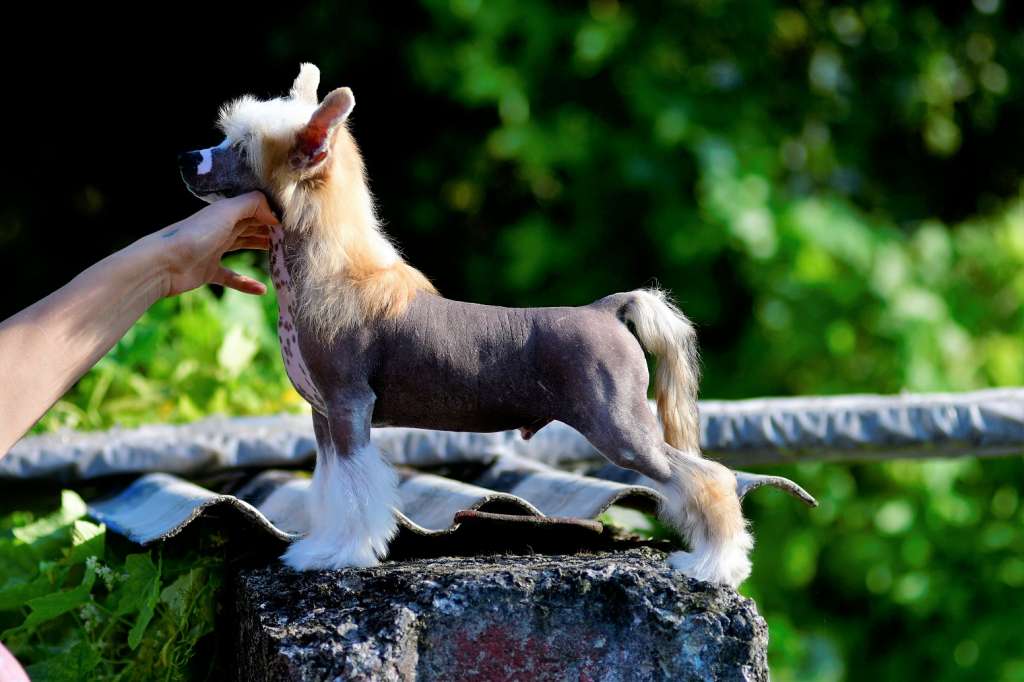 Ubbe Ragnarson Winning Smile