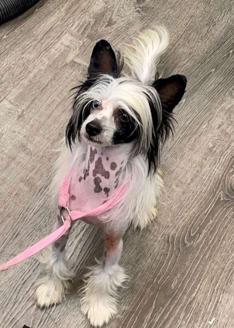 Dasha's Know Your Circle