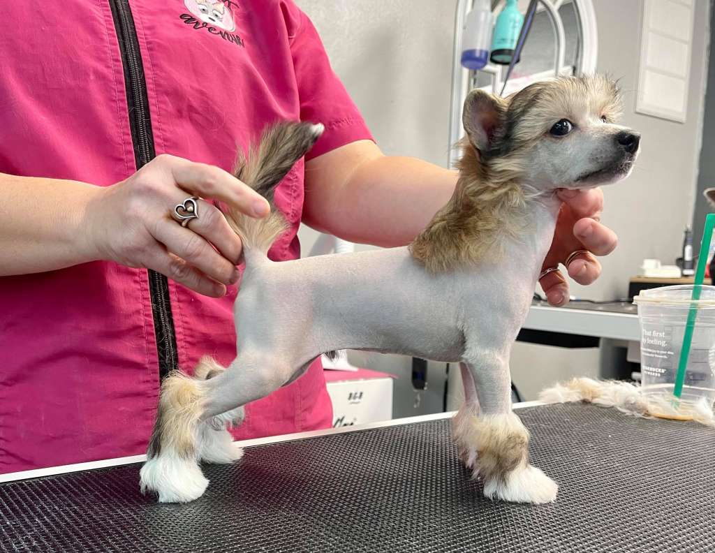 Dasha's Dude Looks Like A Lady