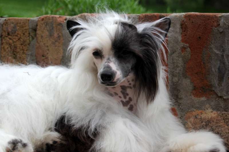 Solino's Breakfast @Tiffany's