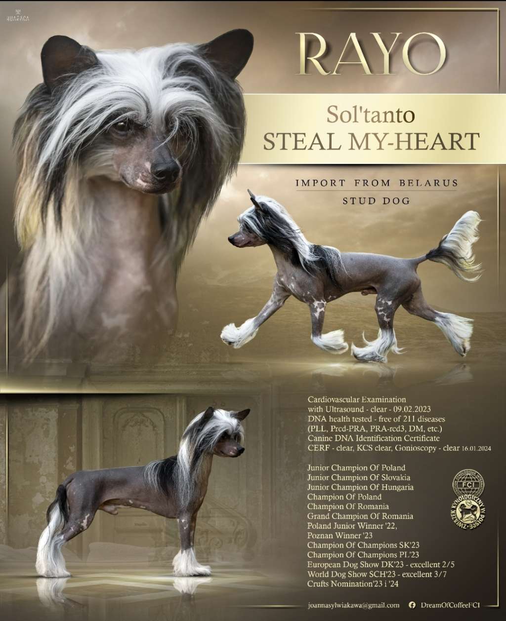 Sol'tanto Steal My-Heart