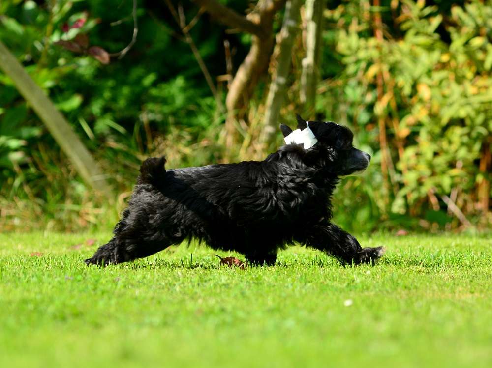 Jackie ze Zatopené chajdy