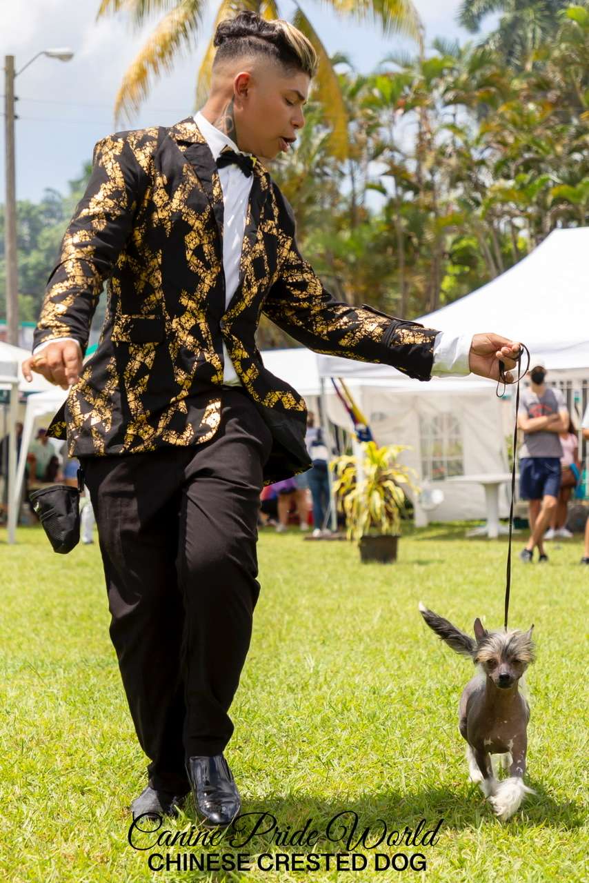 Habanero's Crest Tiara