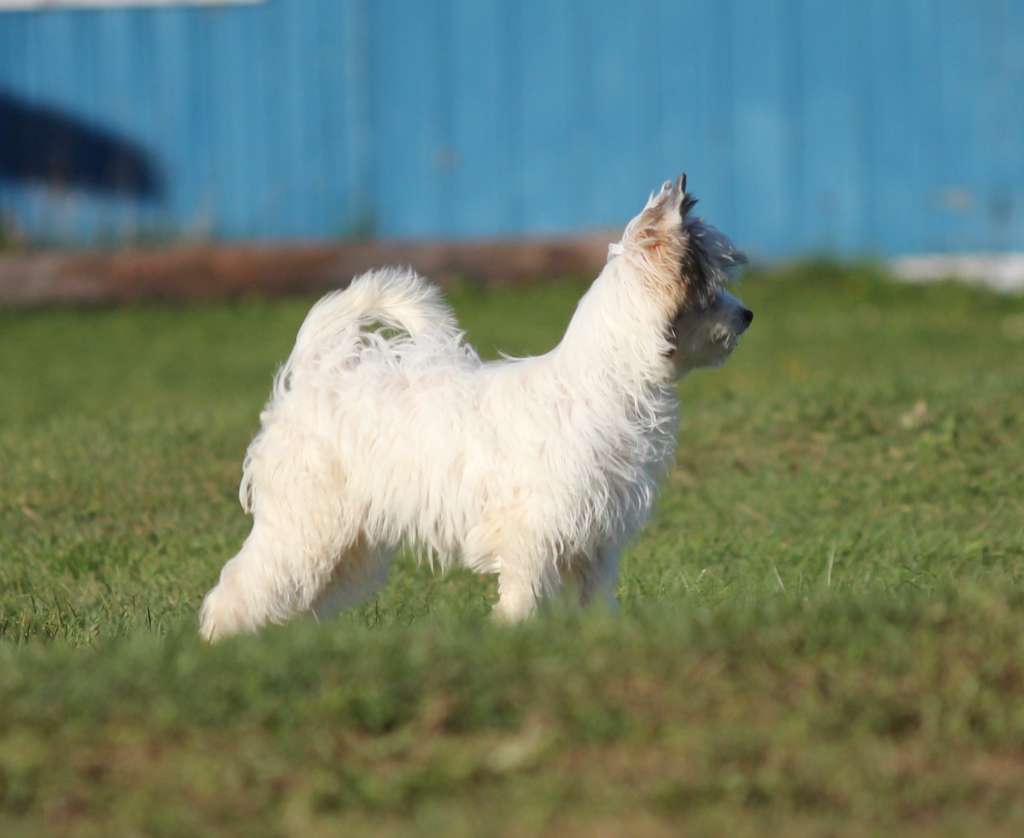 Gardine's Do I Look Like a Brenda 2U?