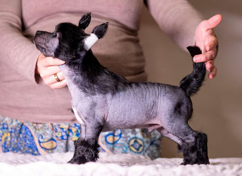 Jaguarao Modern Family