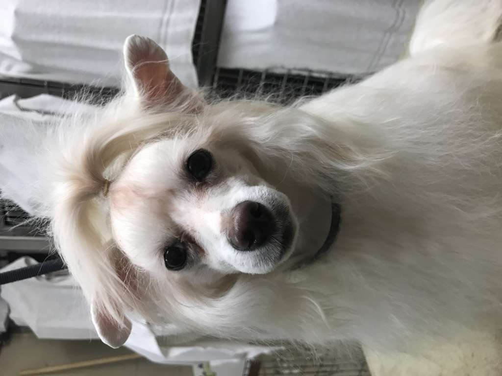 Silvercreeks Good For Your Heart