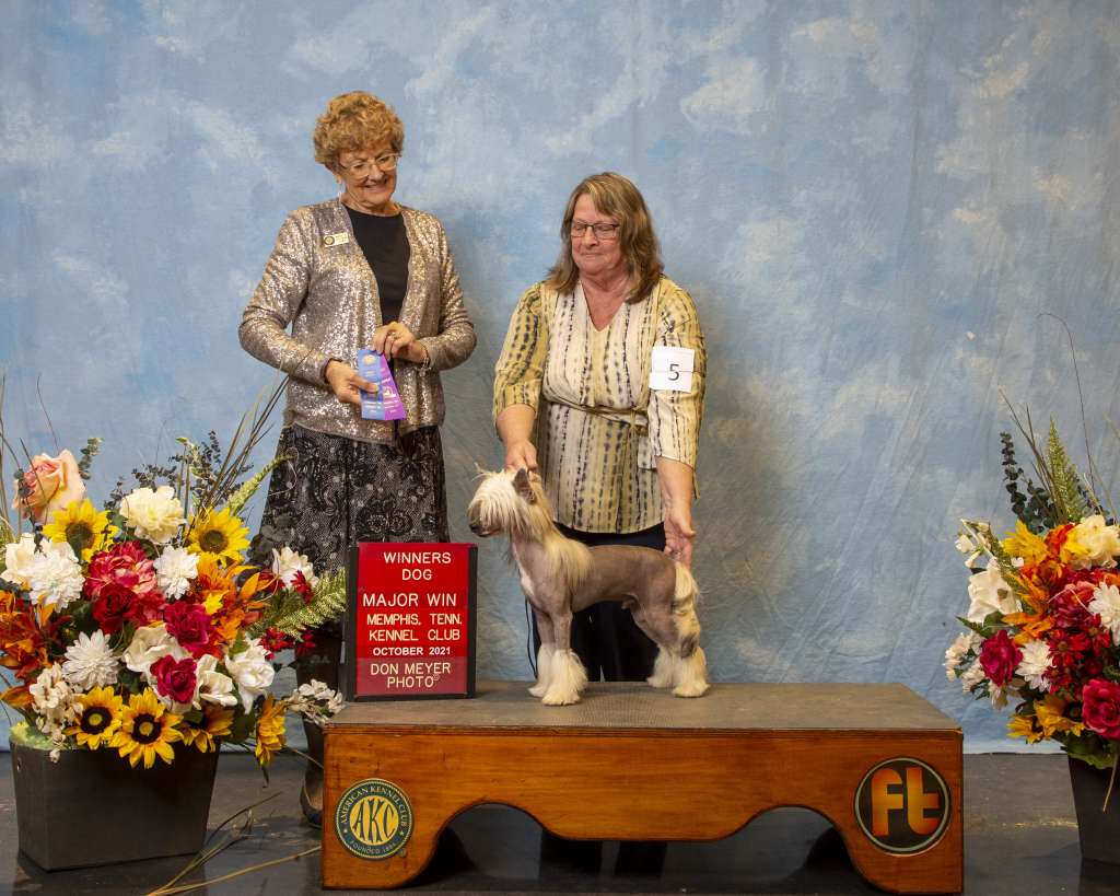 GCH Silvercreeks Sweet & Delicious