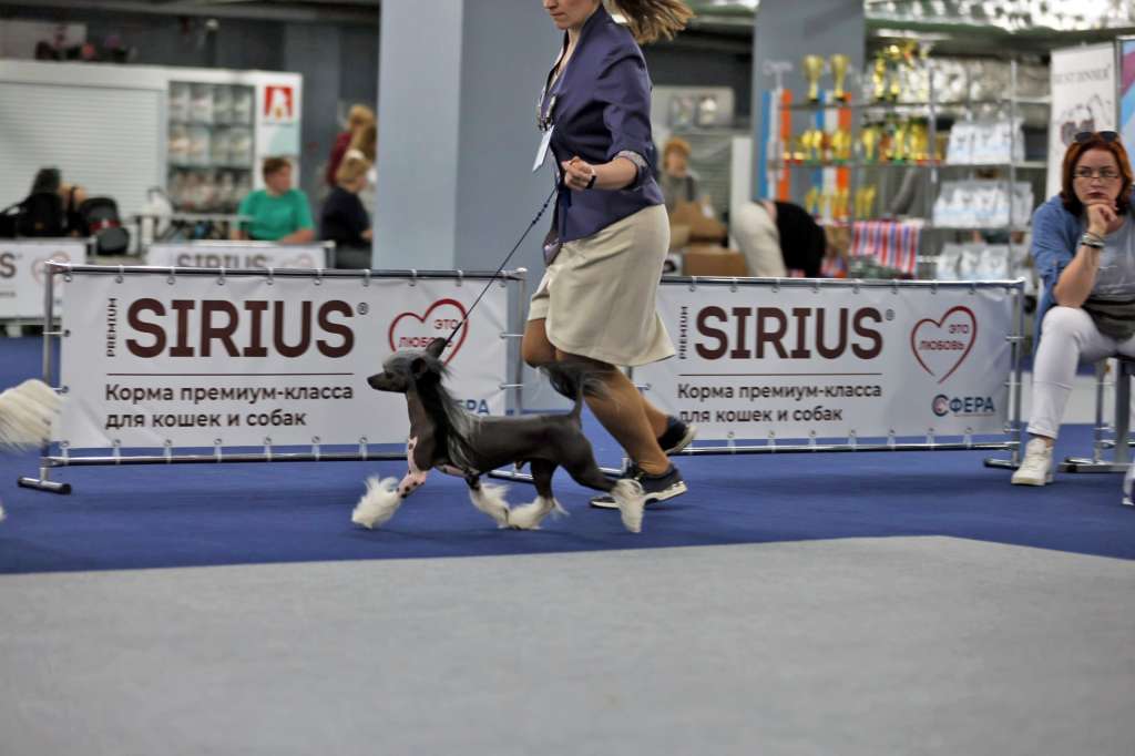 Via Della Seta Lapis Philosophorum