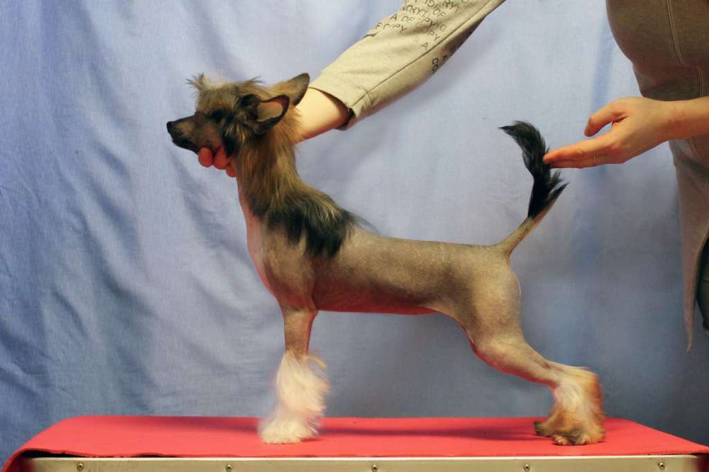 Via Della Seta Cast A Spell On You