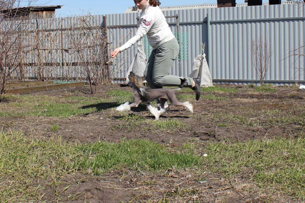 Via Della Seta Long-Awaited