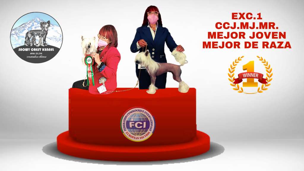 Scarlett of the Wind Crest