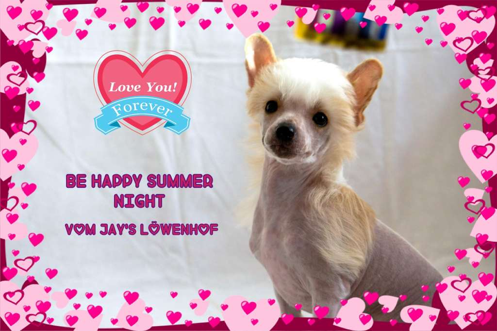 Be Happy Summer Night vom Jay's Löwenhof