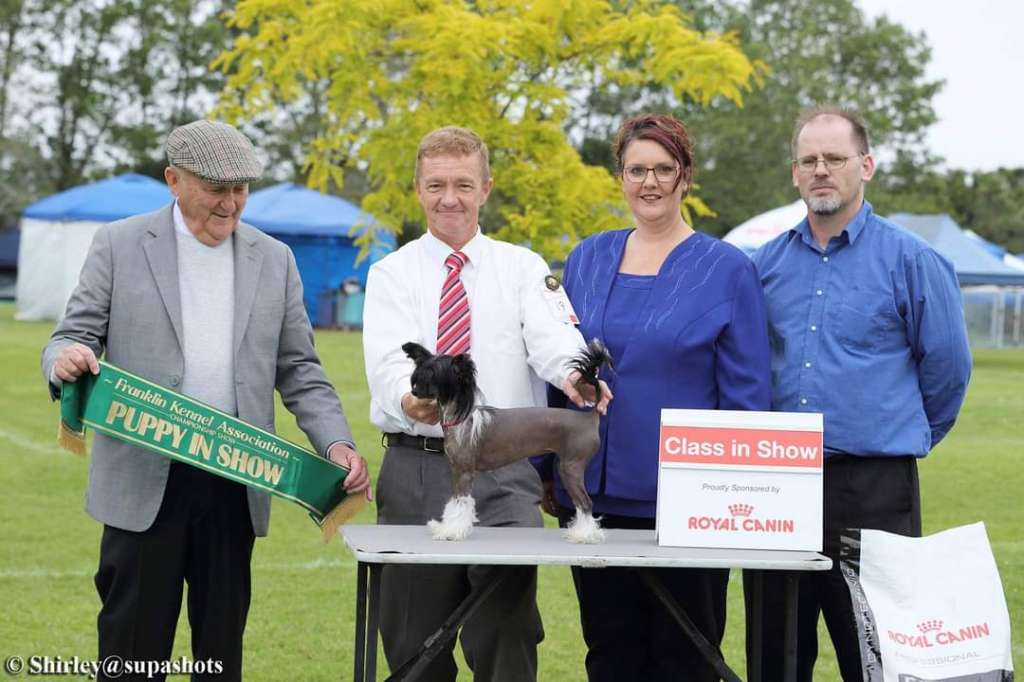 NZ Ch Juleko Renanscence Queen