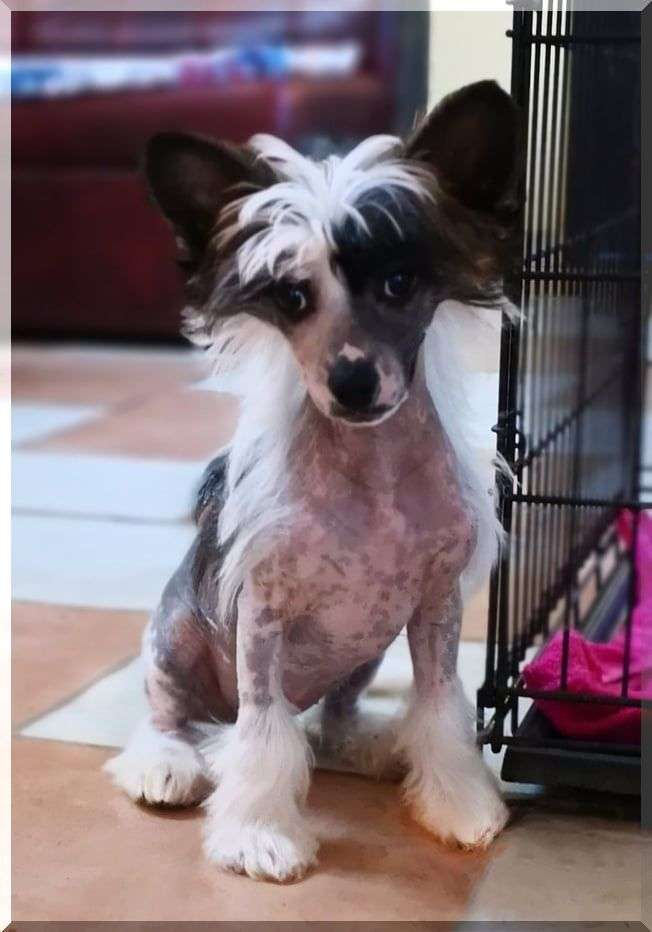 Fundoklia-völgyi Kaszanics Kinji