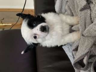 Sunsnoopers Bubble Time