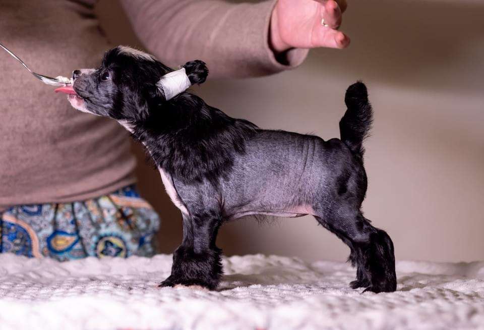 Jandira Modern Family