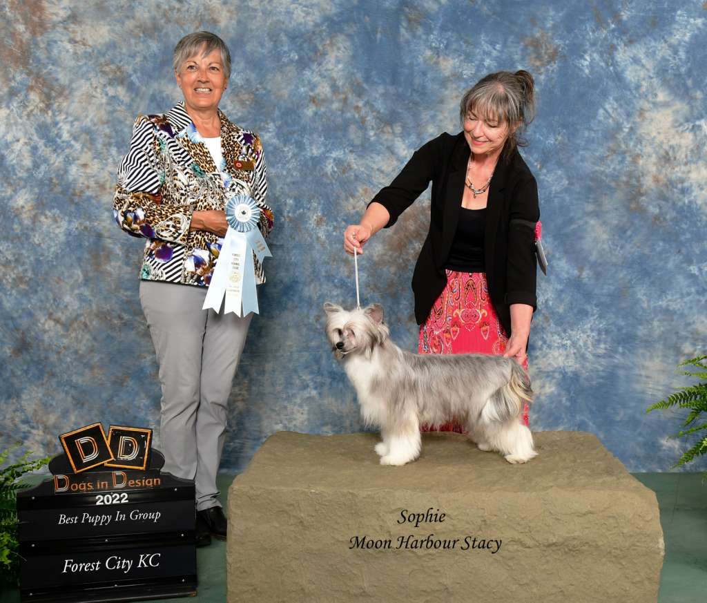 Ch Moon Harbour Stacy