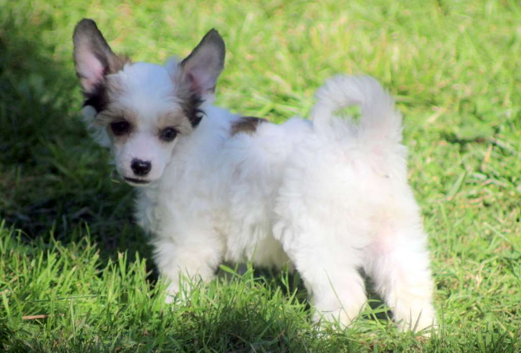 Moon Harbour So Pretty