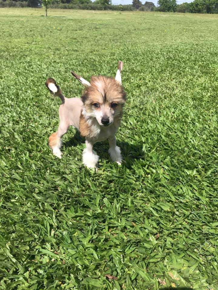 patagonia ranch leon