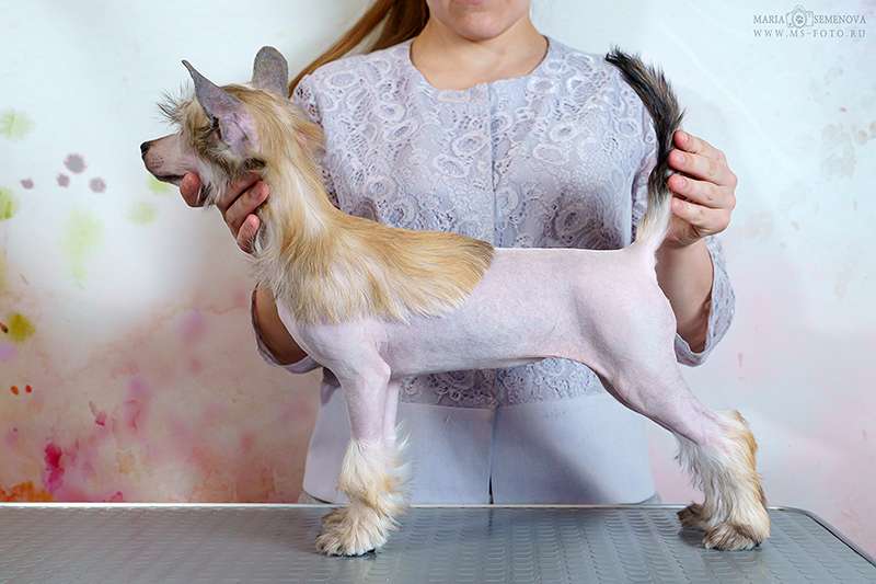 Grand Passage Gloria