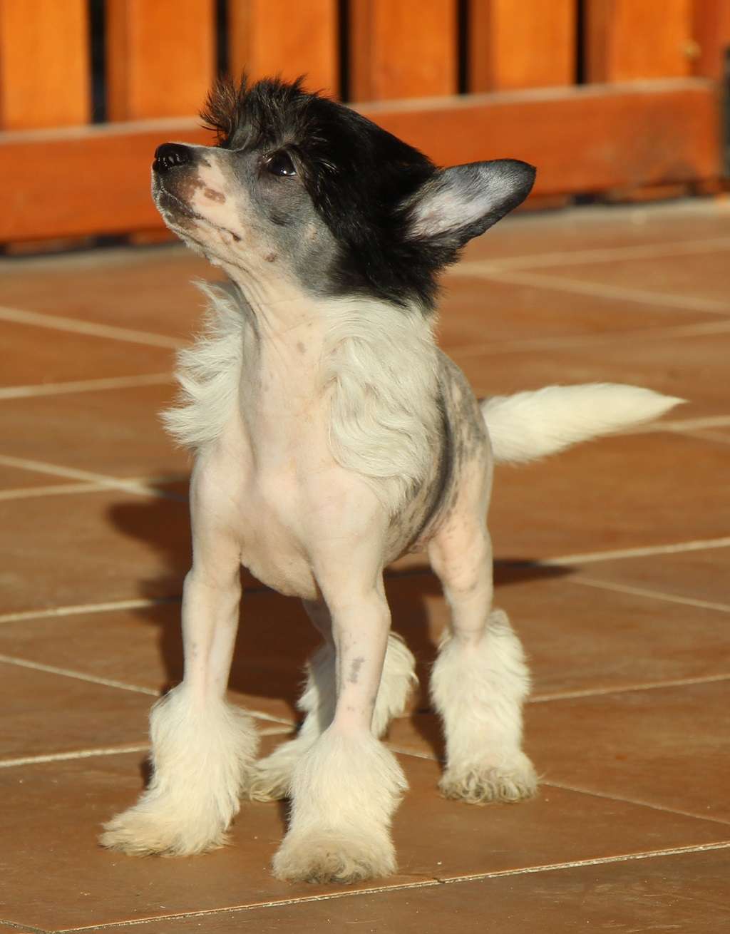 After sunsine de Almamasan