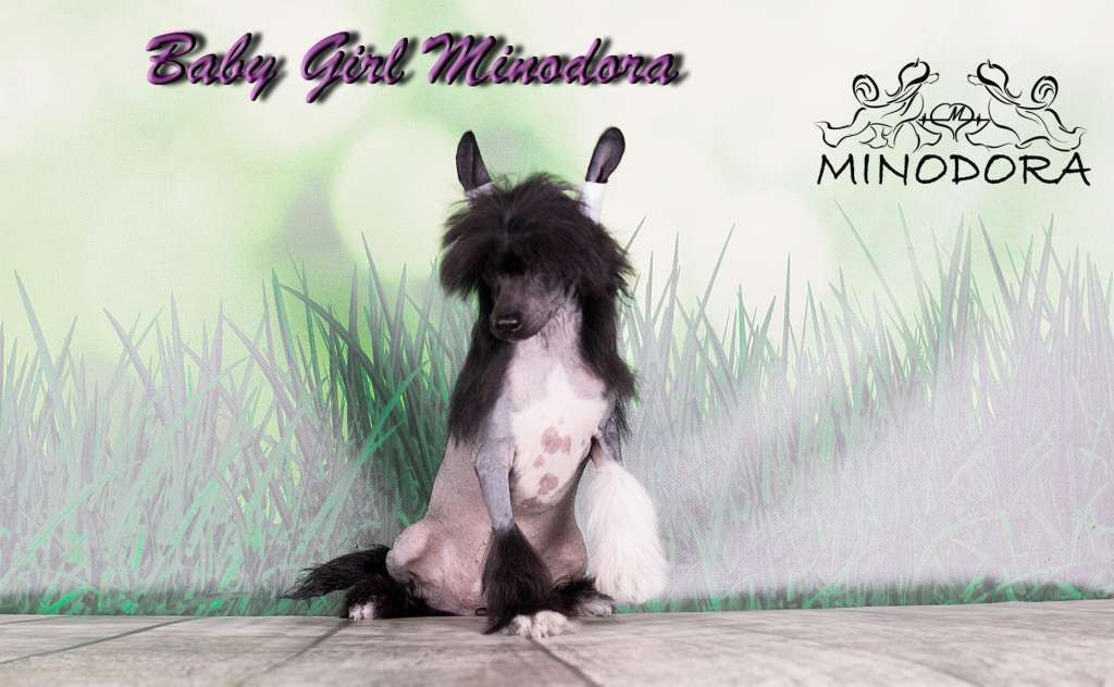 Baby Girl Minodora