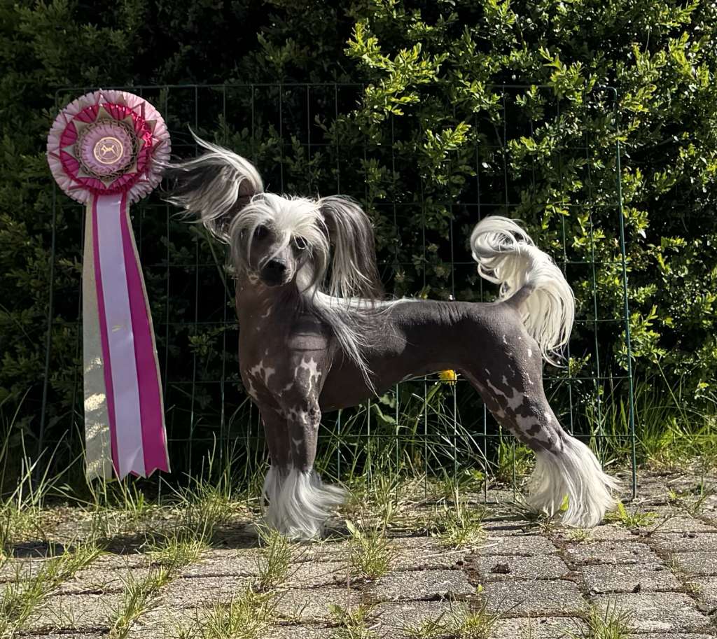 Absolute Souls See me at Instagram