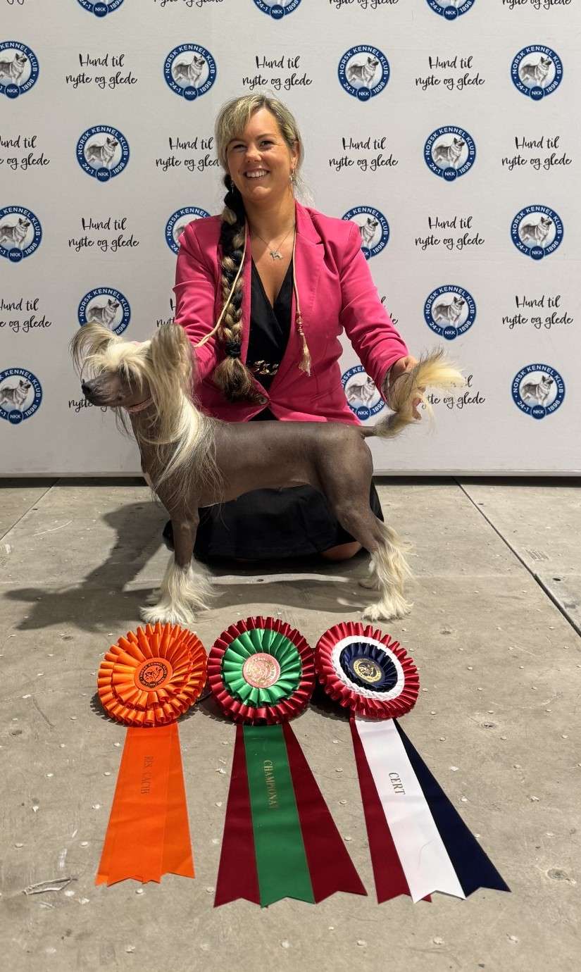 Absolute Souls U find me on TikTok