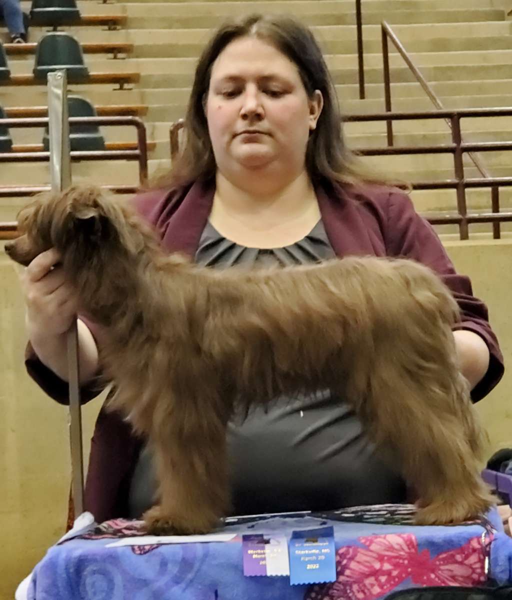 BATM The Fabulis Theodore