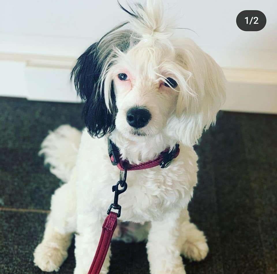 Nightstorms Just The One