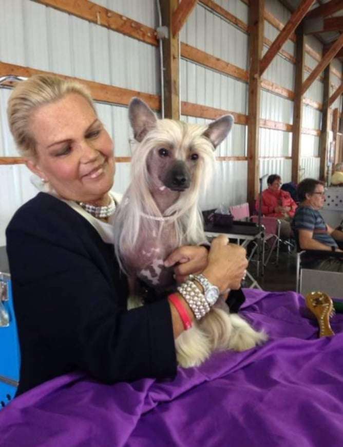 Sondras Red Corvette