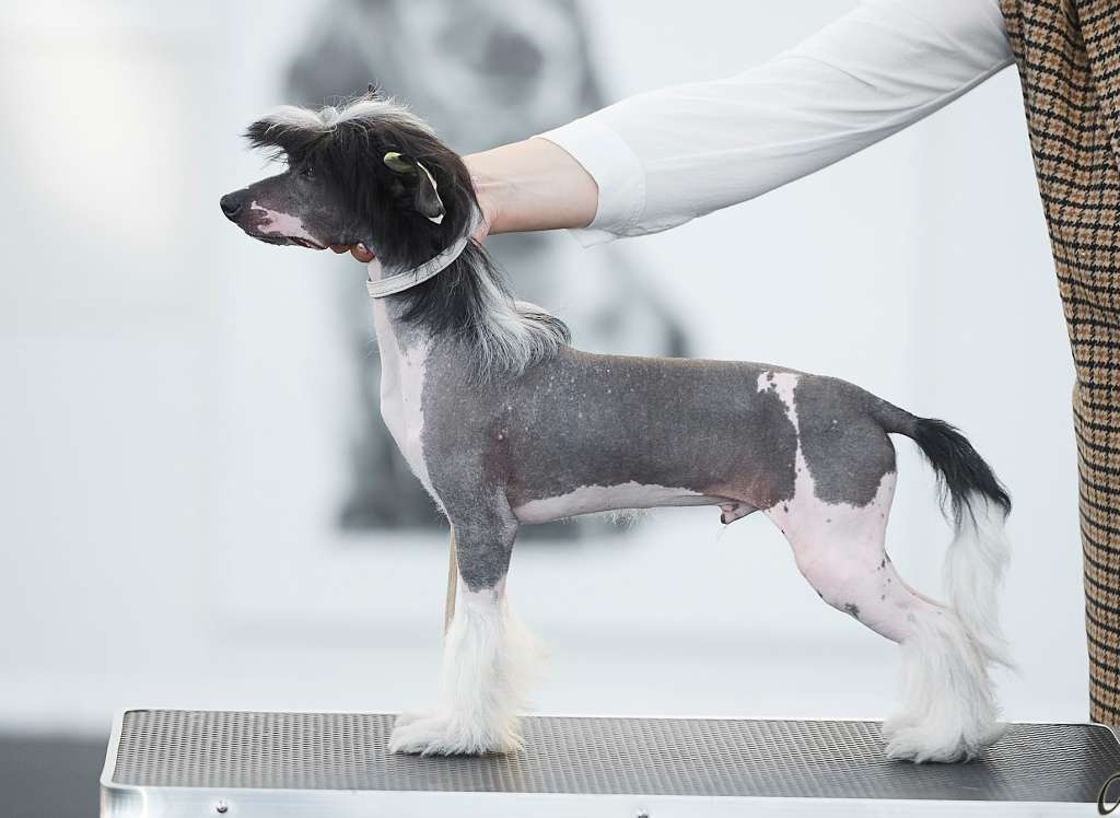 Kraspamir Hip Hop Dancer