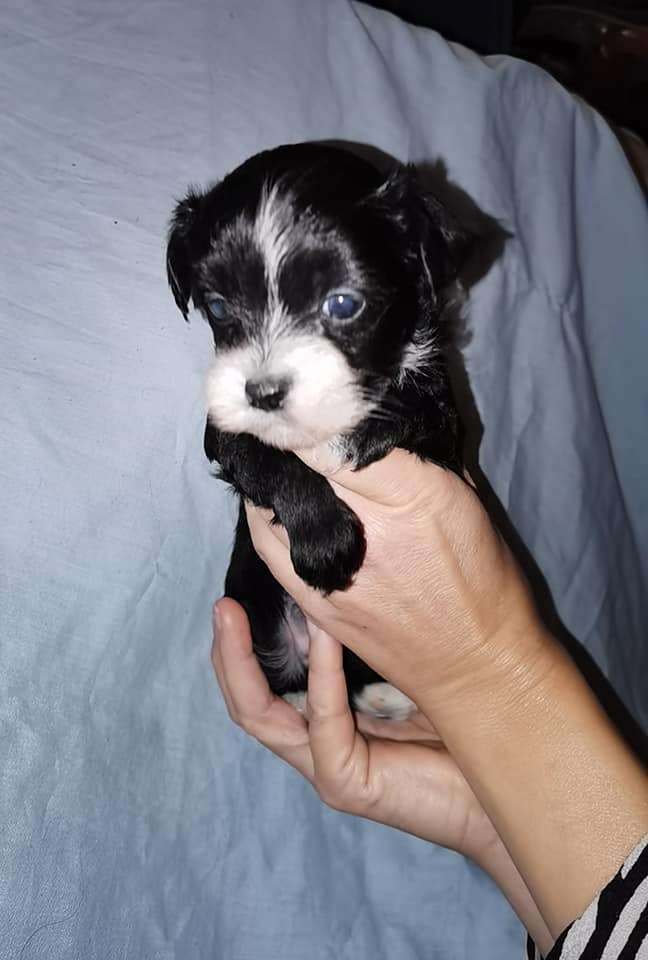 Nightstorms Kirk The Killer