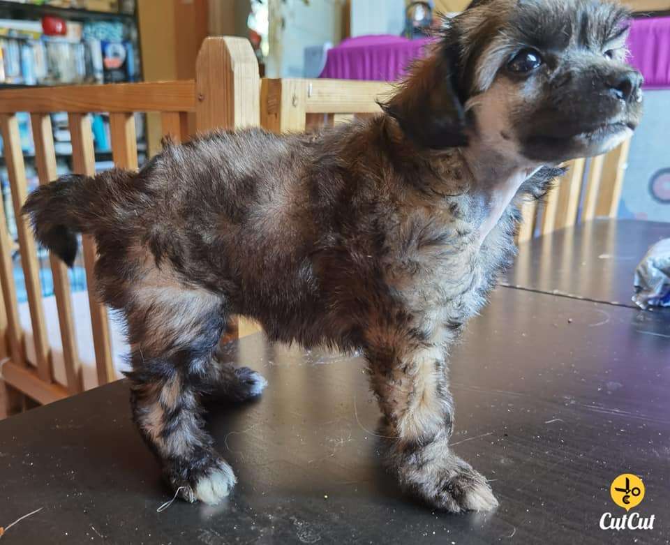 Nightstorms Light My Fire