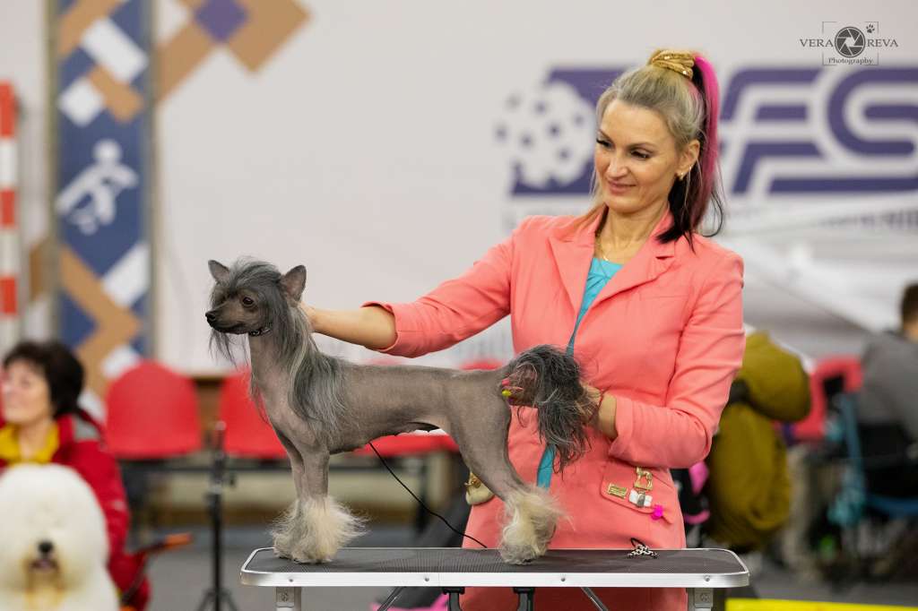 Cladary Triumph Jasmine Jayant