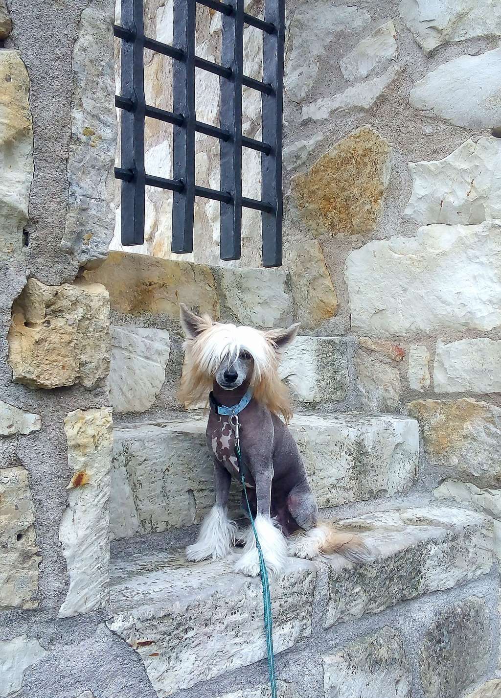 MAYKO Romantico Reggae