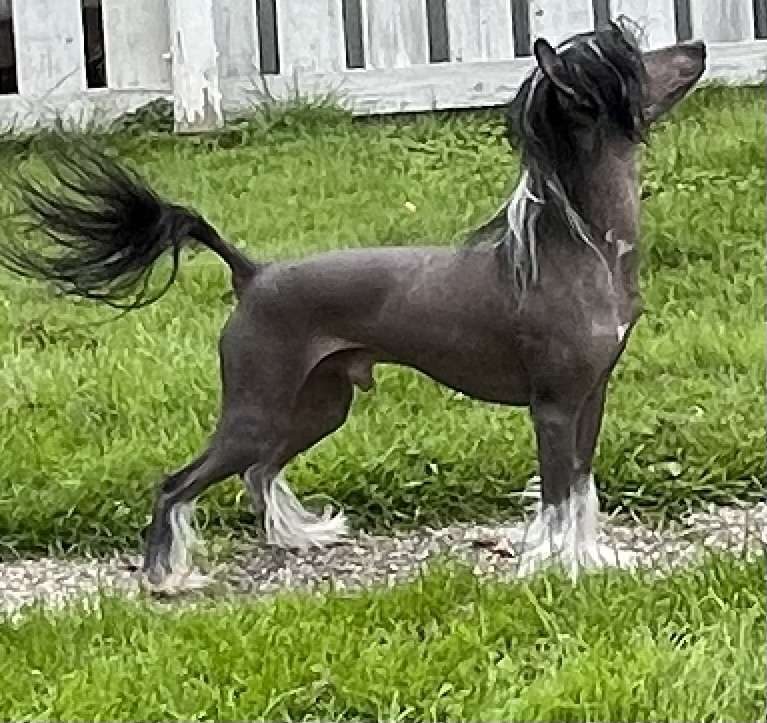 Smedbys You Better Run