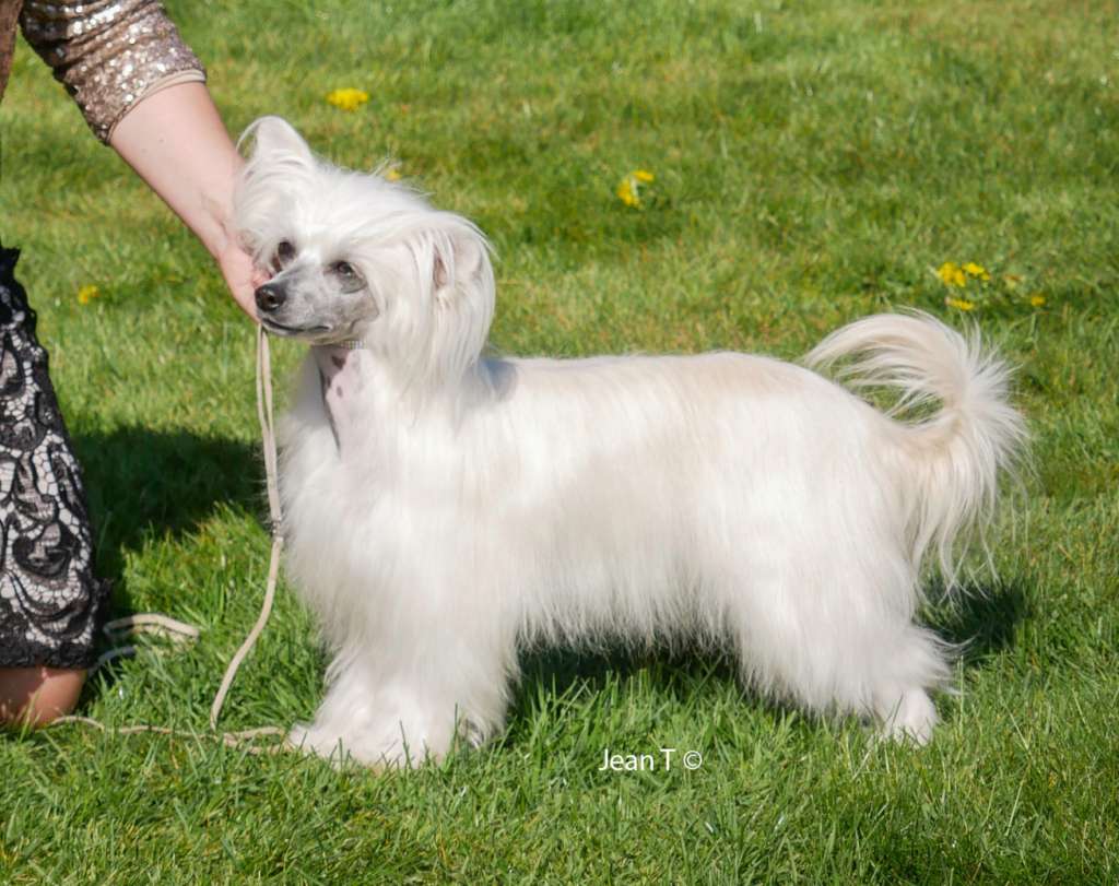 Jean Dark A Song For Me