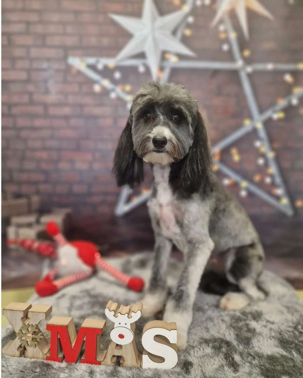 Claudius Cerberus Crumerum